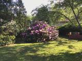 33 Joffre Street - Photo 21