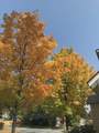 33 Joffre Street - Photo 23