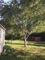 33 Joffre Street - Photo 24