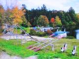 107-11.1 Wood Lot Lane - Photo 9