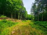 4166 Mines Road - Photo 13
