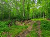 4166 Mines Road - Photo 14