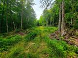 4166 Mines Road - Photo 15