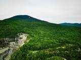 4166 Mines Road - Photo 17