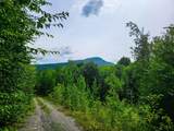 4166 Mines Road - Photo 2