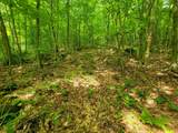 4166 Mines Road - Photo 23