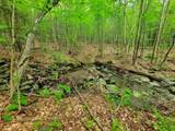 4166 Mines Road - Photo 24