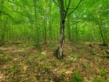 4166 Mines Road - Photo 29