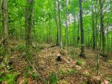4166 Mines Road - Photo 30