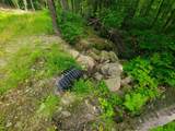 4166 Mines Road - Photo 40