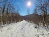 4166 Mines Road - Photo 41