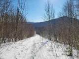 4166 Mines Road - Photo 45