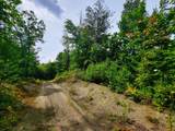 4166 Mines Road - Photo 6