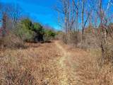 399 Bard Road - Photo 38