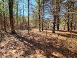 399 Bard Road - Photo 41