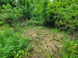 399 Bard Road - Photo 48
