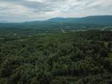 399 Bard Road - Photo 56