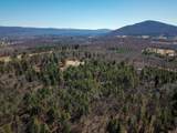 399 Bard Road - Photo 59