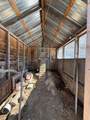 1110 Creek Road - Photo 51
