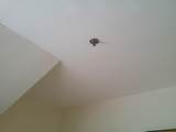 44 Park Place - Photo 21