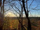 TBD Hemenway Road - Photo 2