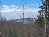 00 Tin Mine Road - Photo 25