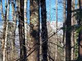 00 Tin Mine Road - Photo 27
