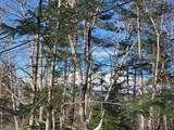 00 Tin Mine Road - Photo 28
