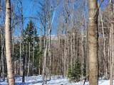 00 Tin Mine Road - Photo 31