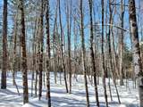 00 Tin Mine Road - Photo 33