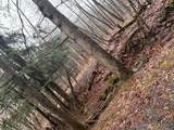 223 Deming Road - Photo 8