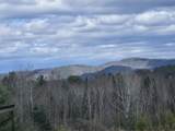 461 Butson Road - Photo 53