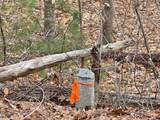 78 Hopper Road - Photo 5