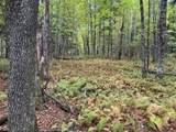 843 River Road - Photo 5
