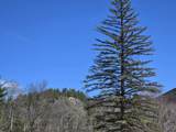 1089 Nh Route 16 - Photo 7