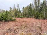 4334 Hinman Settler Road - Photo 7