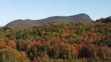 Lot 9 South Applesauce Hill - Photo 5