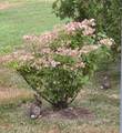 2 Woodland Park - Photo 25