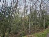 Lot 265 King Drive - Photo 6