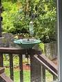 62 Collins Landing Road - Photo 49