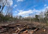 Lot 14 Northeast Pond Road - Photo 4