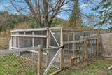 4804 Main Road - Photo 52