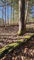 512 Woodbury Mountain Road - Photo 29