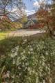 84 Old Barn Lane - Photo 46
