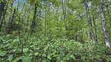 00 Potter Road - Photo 21