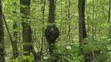 00 Potter Road - Photo 24
