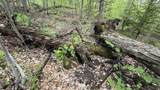 00 Potter Road - Photo 26