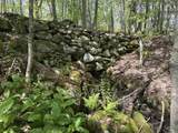 00 Potter Road - Photo 31