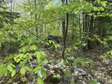 00 Potter Road - Photo 36