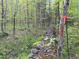 00 Potter Road - Photo 37